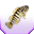 Epikus hal