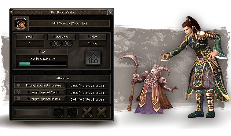 Upgrade interface